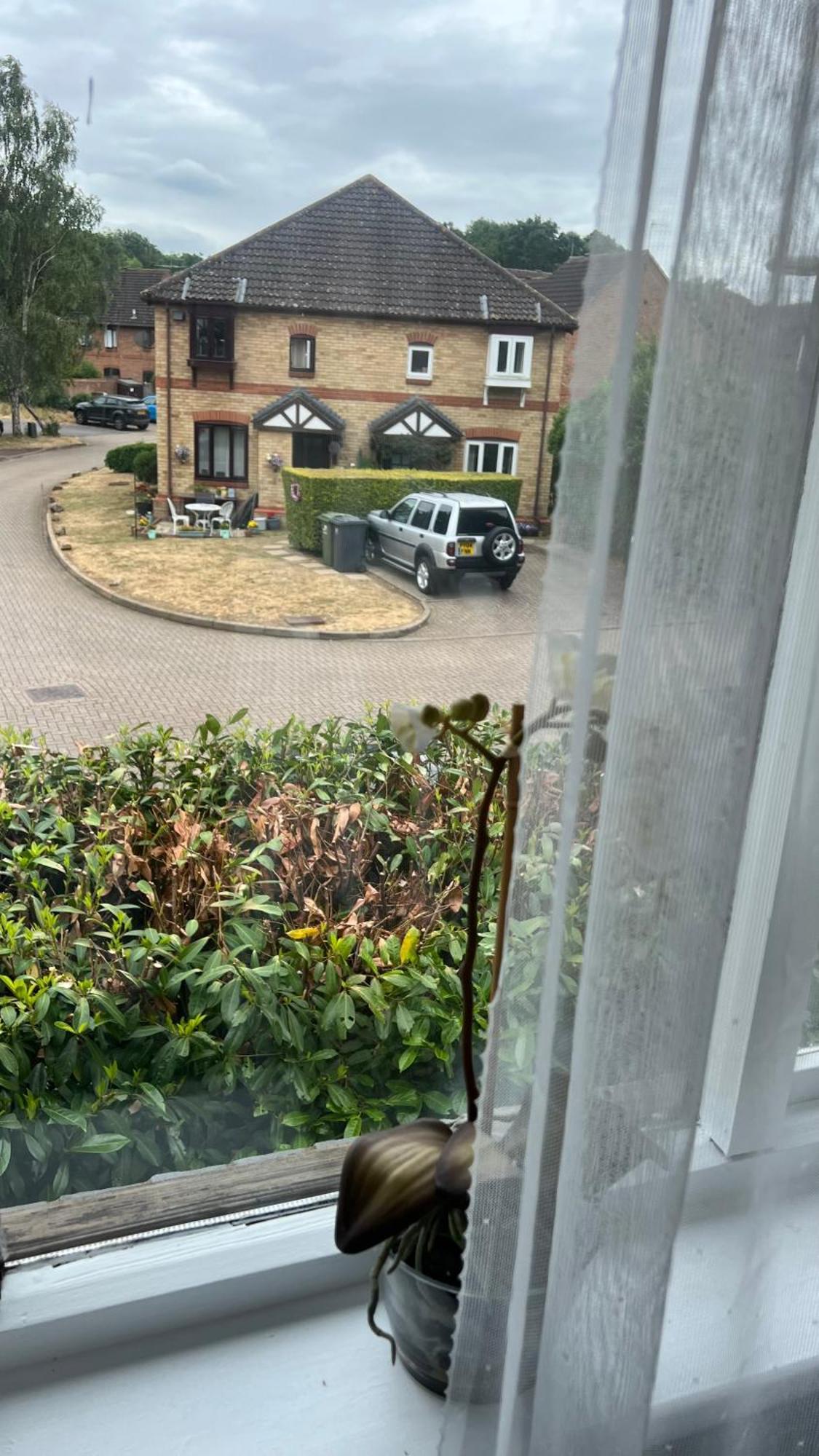 Beautiful Apartment In Guildford With Parking Send Extérieur photo